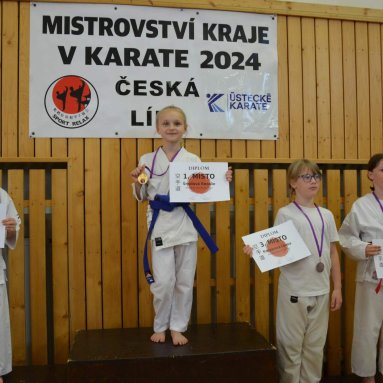 Mistrovství ústeckého kraje + beginner